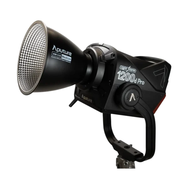 Aputure LS 1200d Pro
